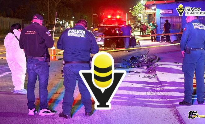 photo_4958992428950031221_y