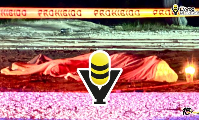 photo_4958992428950031222_y