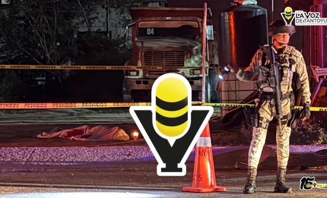 photo_4958992428950031223_y