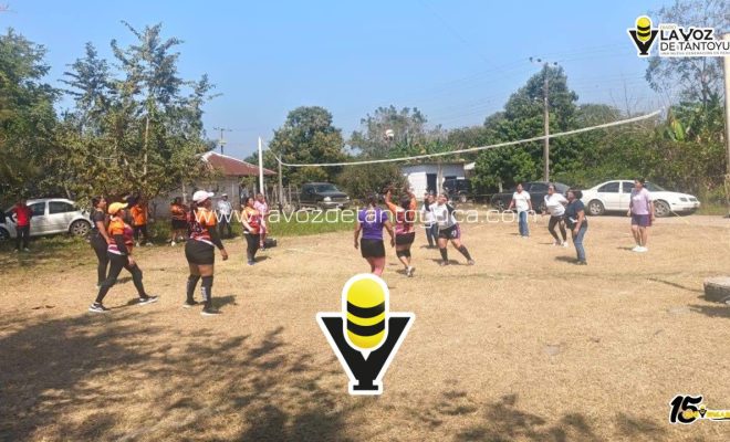 photo_4958992428950031238_y