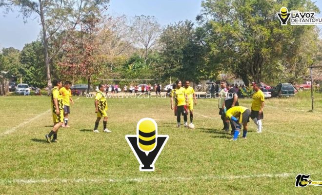 photo_4958992428950031239_y