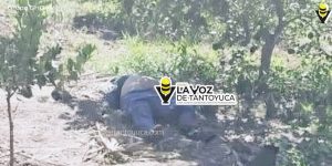 Hombre muere de un infarto en su parcela 