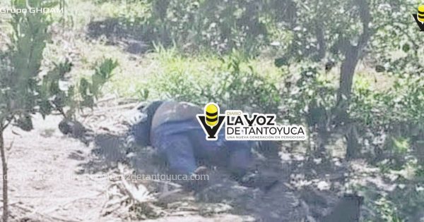 Hombre muere de un infarto en su parcela