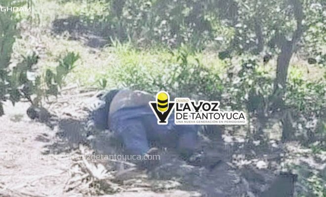 Hombre muere de un infarto en su parcela
