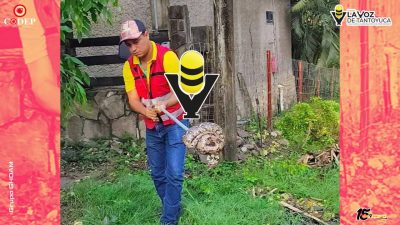 Capturan Mazacuata en Platón Sánchez