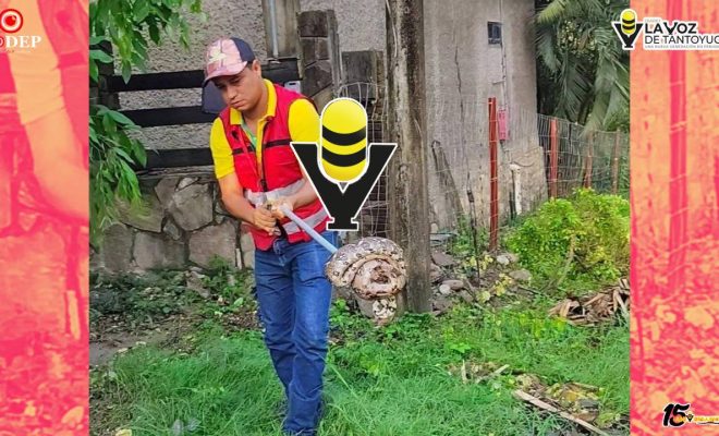 Capturan Mazacuata en Platón Sánchez