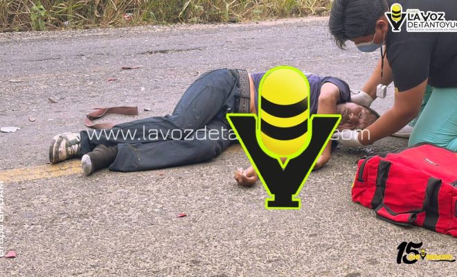 photo_4961136369250012120_y photo_4961136369250012120_y