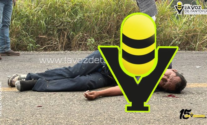 photo_4961136369250012125_y photo_4961136369250012125_y