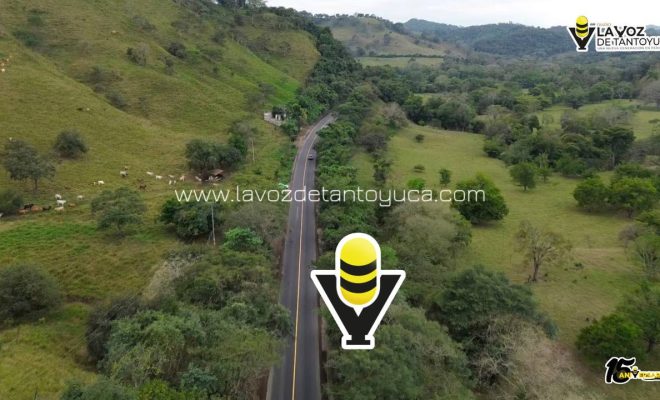 photo_4963320209796172641_y