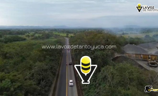 photo_4963320209796172642_y