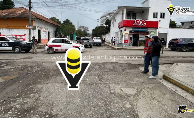 photo_4963320209796172653_y