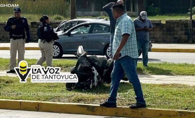 photo_4963529404768258913_y photo_4963529404768258913_y