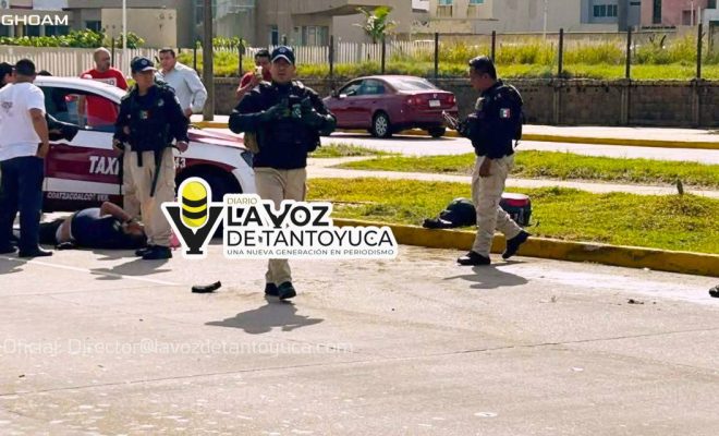 photo_4963529404768258914_y photo_4963529404768258914_y