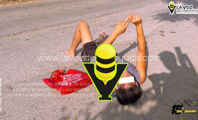 photo_4965595782253841329_y