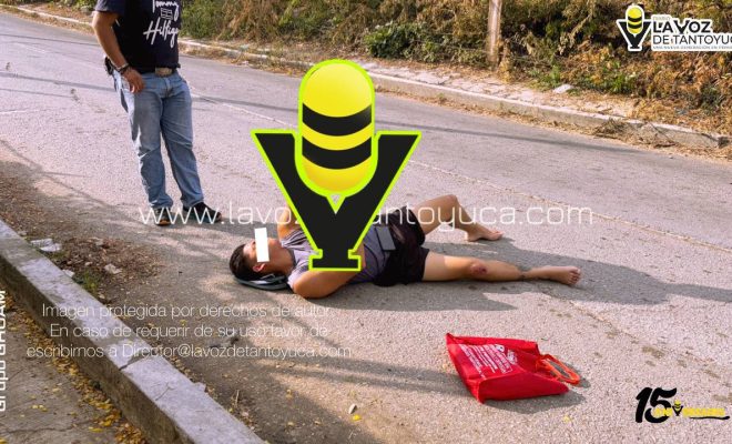 photo_4965595782253841330_y