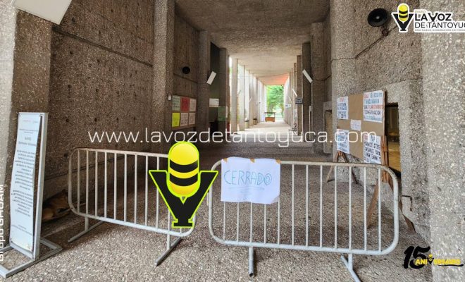 photo_4965595782253841361_y