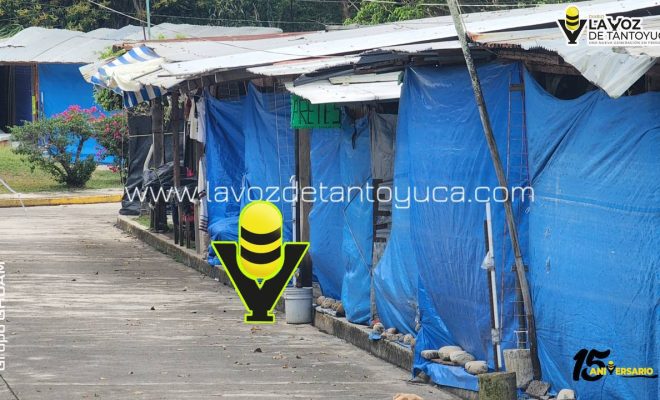 photo_4965595782253841362_y