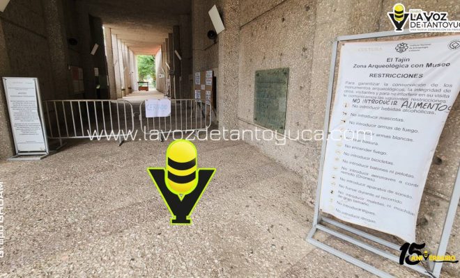 photo_4965595782253841363_y