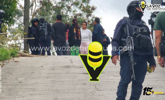 photo_4965595782253841366_y photo_4965595782253841366_y