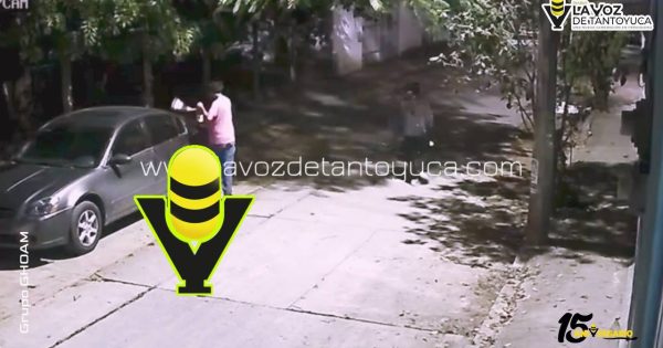 Captan a dos jovencitos destrozando vehículos estacionados