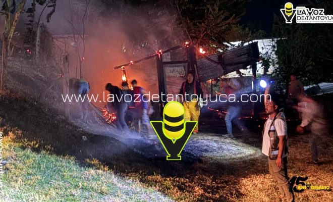 photo_4967495313144875965_y photo_4967495313144875965_y