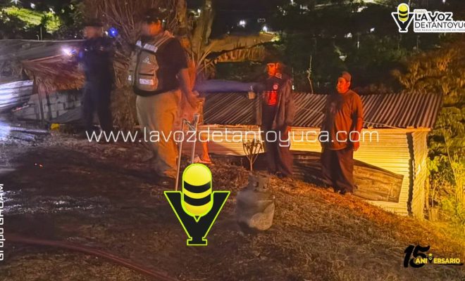 photo_4967495313144875968_y photo_4967495313144875968_y