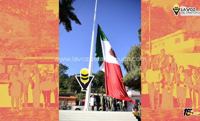 photo_4967880498696883607_y