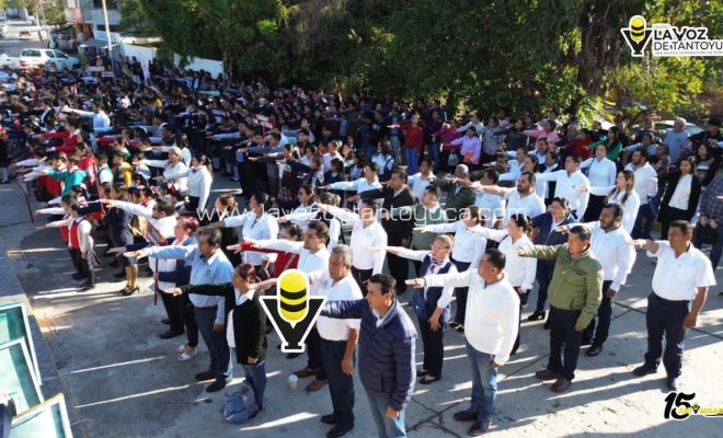 photo_4967880498696883610_y