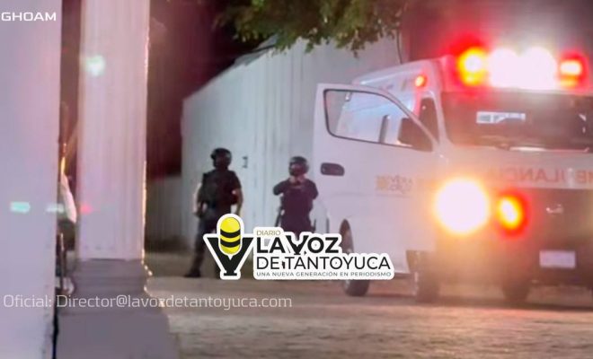 photo_4967911766058797929_y