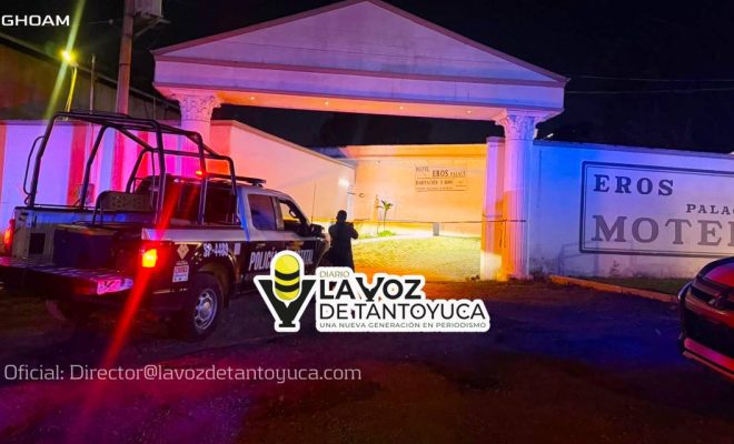 photo_4967911766058797953_y