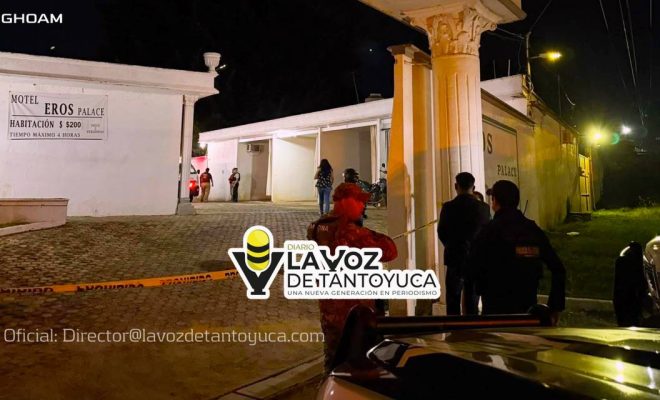 photo_4967911766058797954_y