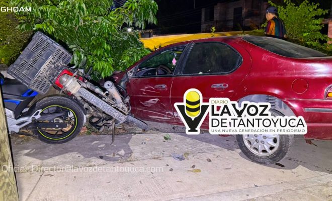 photo_4967911766058797960_y