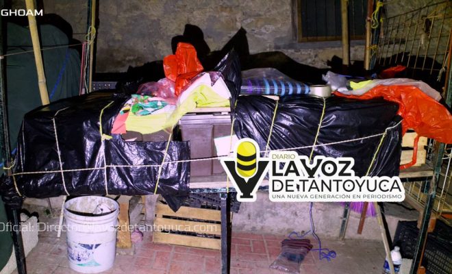 photo_4967911766058797984_y