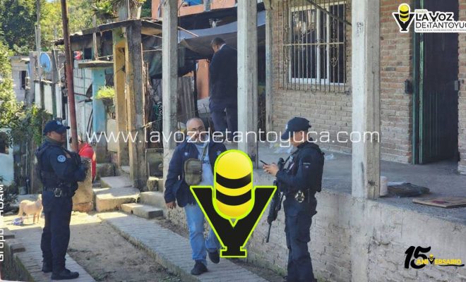 photo_4969747112958561244_y photo_4969747112958561244_y