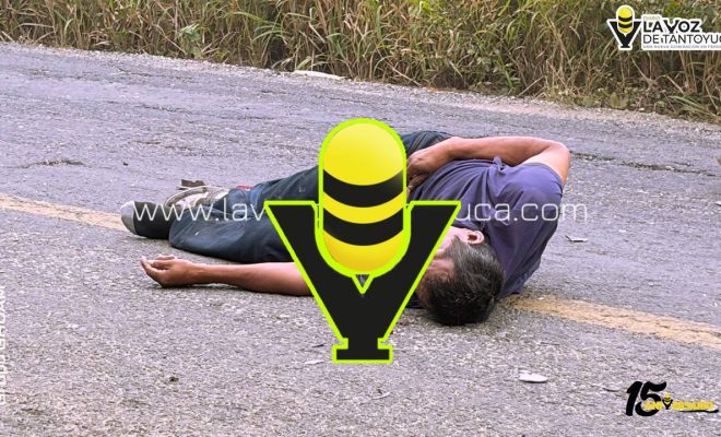 photo_4969747112958561261_y