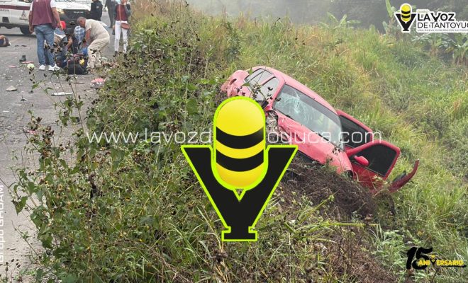 photo_4969747112958561264_y