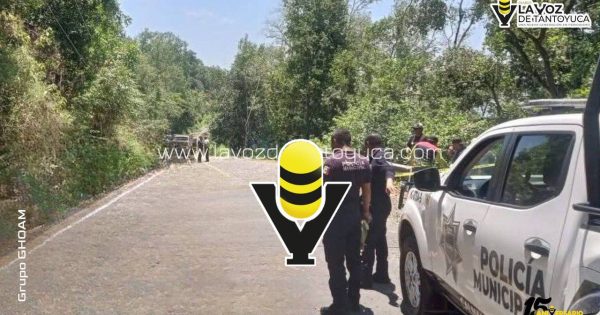 Recuperan camioneta tras asalto y agresión a conductor, en Atlapexco