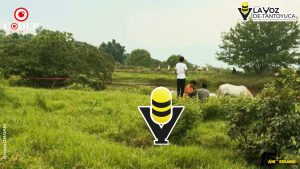 Localizan sin vida a una hombre y una menor en una presa, en Chicontepec 