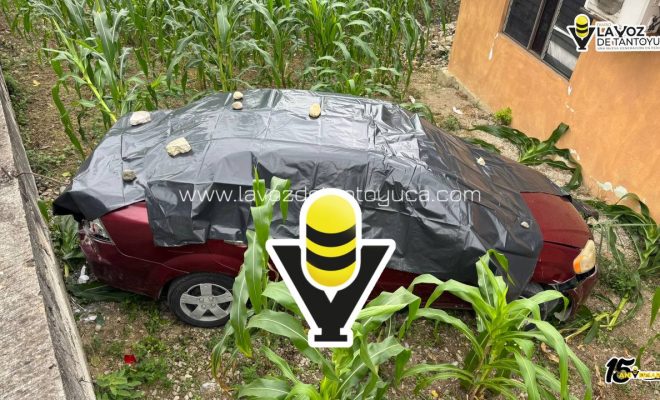 photo_4970132298510568670_y