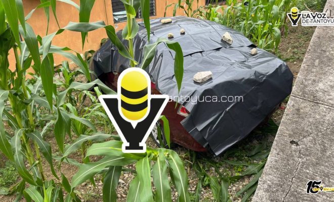 photo_4970132298510568671_y