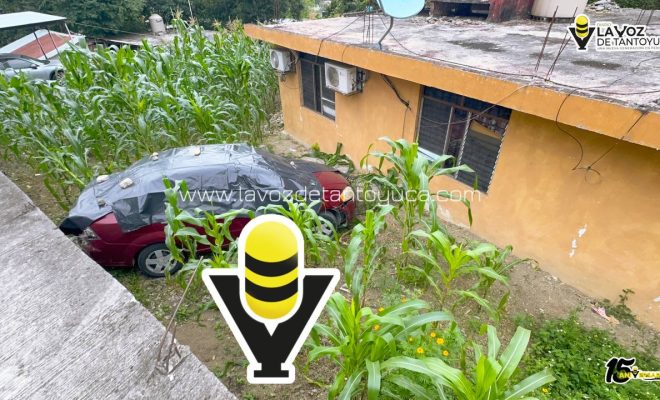 photo_4970132298510568672_y