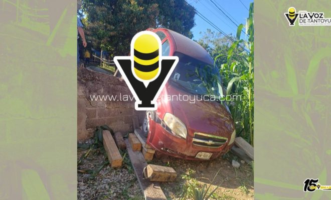 photo_4970132298510568674_y