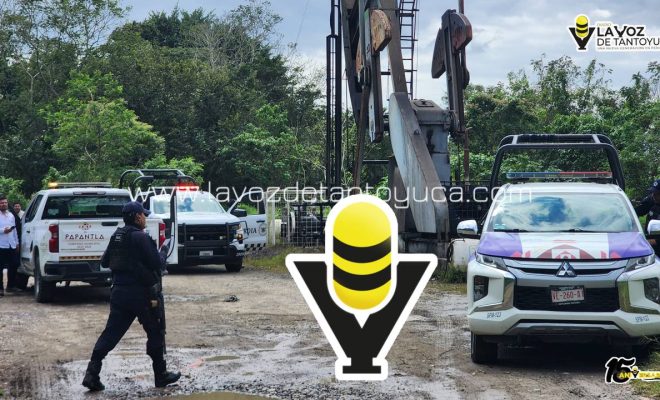 photo_4970132298510568676_y