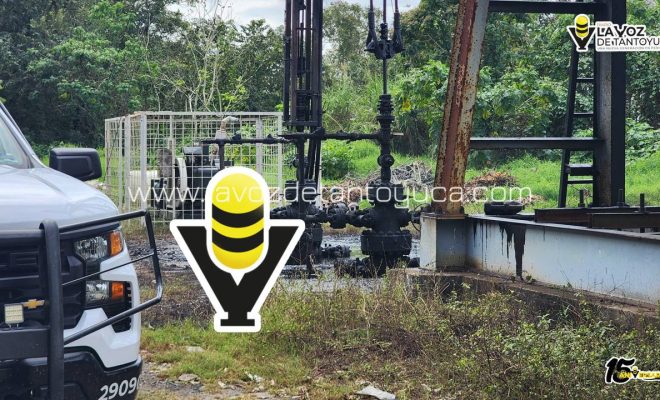 photo_4970132298510568677_y