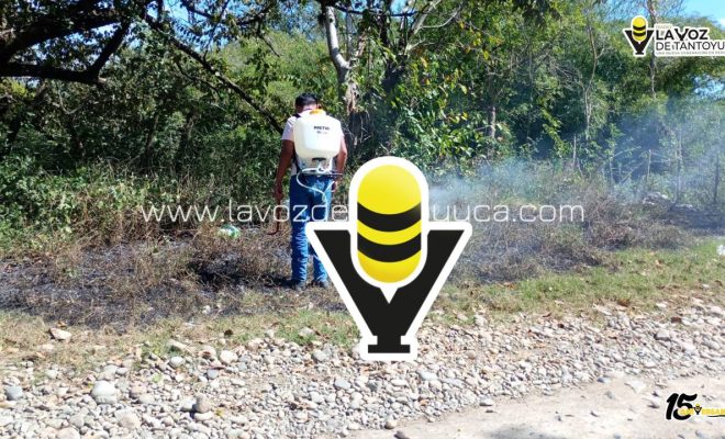 photo_4970132298510568685_y