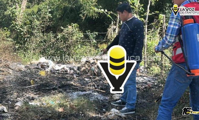 photo_4970132298510568686_y (1)