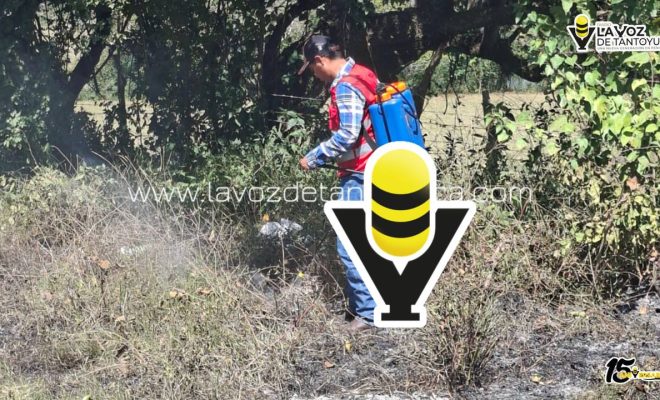 photo_4970132298510568687_y