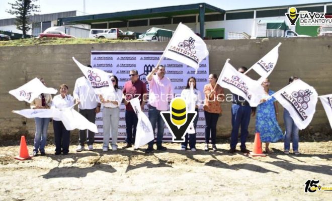 photo_4970132298510568701_y