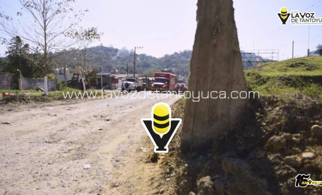 photo_4970132298510568704_y