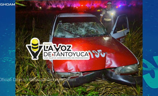 photo_4970163565872483122_y